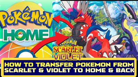 pokemon transferable to scarlet and violet|pokemon scarlet and violet returning.